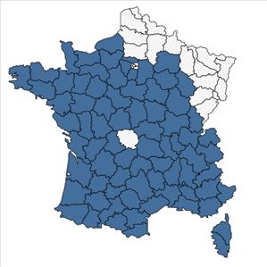 Répartition de Rubia peregrina L. en France
