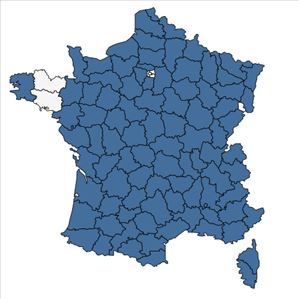 Répartition de Scandix pecten-veneris L. en France