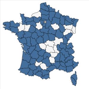 Répartition de Schoenus nigricans L. en France