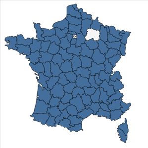 Répartition de Scleranthus annuus L. en France