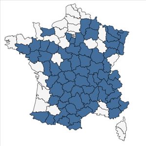 Répartition de Scleranthus perennis L. en France