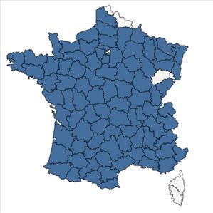 Répartition de Serratula tinctoria L. en France