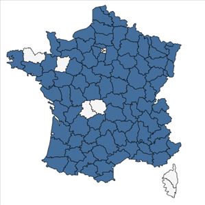 Répartition de Asperula cynanchica L. en France