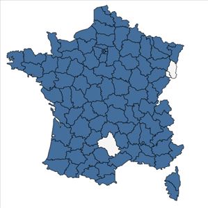 Répartition de Setaria verticillata (L.) P.Beauv. en France