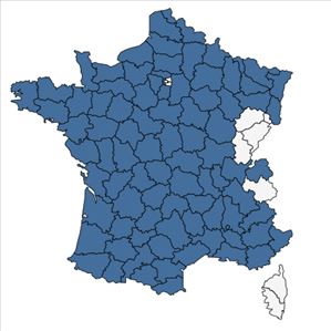 Répartition de Silene nutans L. en France