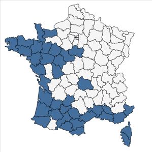 Répartition de Smyrnium olusatrum L. en France