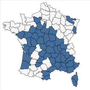 Répartition de Spergula pentandra L. en France