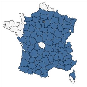 Répartition de Teucrium chamaedrys L. en France