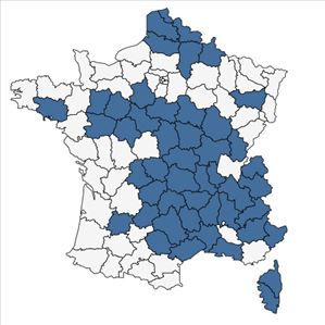 Répartition de Atocion armeria (L.) Raf. en France