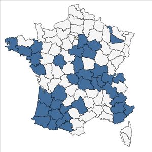 Répartition de Thlaspi alliaceum L. en France