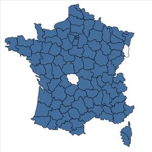 Répartition de Trifolium fragiferum L. en France