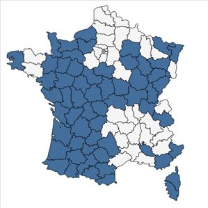 Répartition de Trifolium patens Schreb. en France