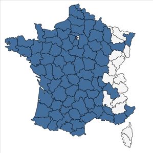 Répartition de Ulex europaeus L. en France