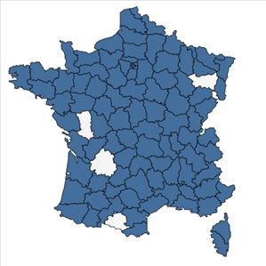 Répartition de Urtica urens L. en France