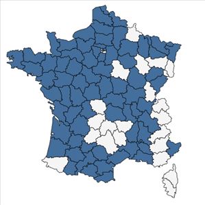 Répartition de Azolla filiculoides Lam. en France