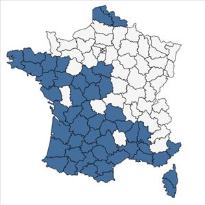 Répartition de Vicia bithynica (L.) L. en France