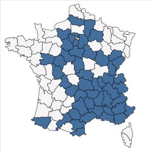 Répartition de Vicia pannonica Crantz en France