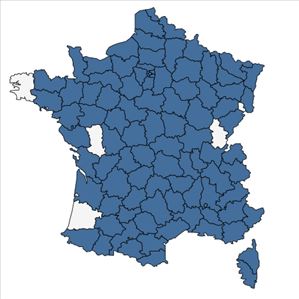 Répartition de Vicia villosa Roth en France