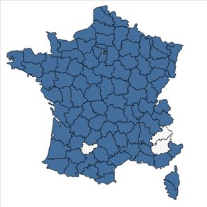 Répartition de Agrostis canina L. en France