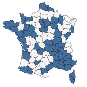 Répartition de Alnus cordata (Loisel.) Duby en France