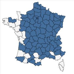 Répartition de Apera spica-venti (L.) P.Beauv. en France