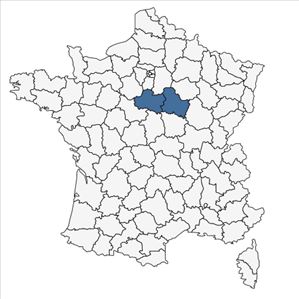 Répartition de Cerinthe minor L. subsp. minor en France