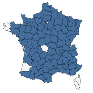 Répartition de Cirsium acaulon (L.) Scop. en France