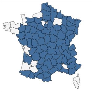 Répartition de Corydalis solida (L.) Clairv. en France