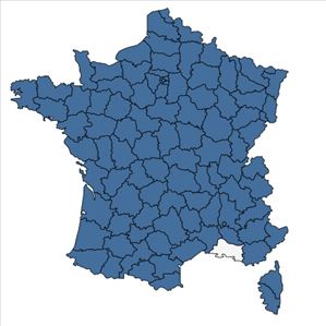 Répartition de Betula pendula Roth en France