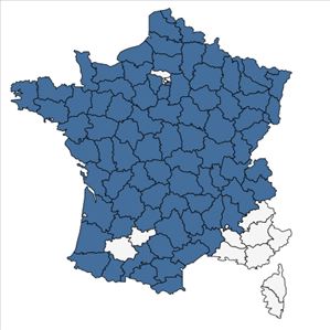 Répartition de Pedicularis sylvatica L. en France