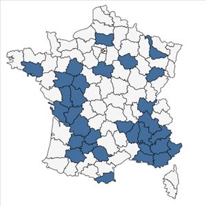 Répartition de Phelipanche ramosa (L.) Pomel en France