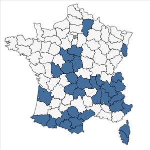 Répartition de Ajuga pyramidalis L. en France