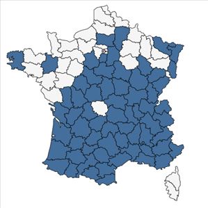 Répartition de Bothriochloa ischaemum (L.) Keng en France