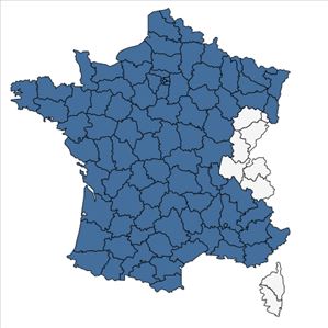 Répartition de Bromus hordeaceus L. en France