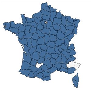 Répartition de Bromus secalinus L. en France