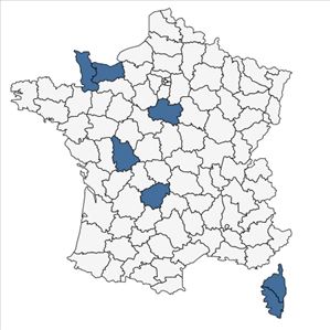 Répartition de Anemone apennina L. en France