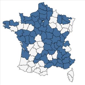 Répartition de Apera interrupta (L.) P.Beauv. en France