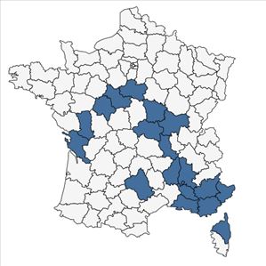 Répartition de Bupleurum gerardi All. en France
