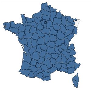 Répartition de Buxus sempervirens L. en France