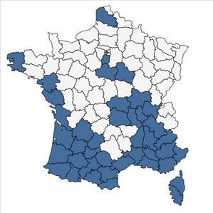 Répartition de Arundo donax L. en France