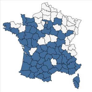 Répartition de Avena sterilis L. en France