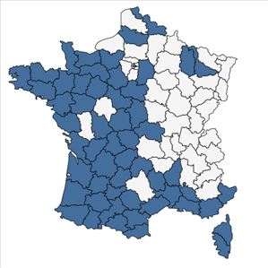 Répartition de Briza minor L. en France