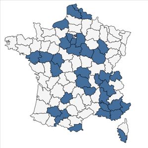 Répartition de Coriandrum sativum L. en France
