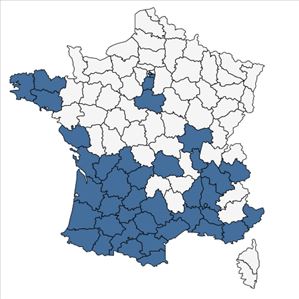Répartition de Eleusine indica (L.) Gaertn. en France