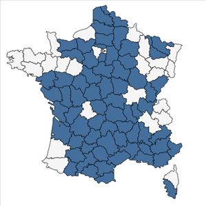 Répartition de Adonis annua L. en France