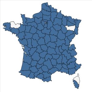 Répartition de Centaurium pulchellum (Sw.) Druce en France