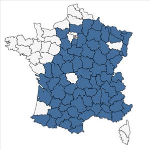 Répartition de Cervaria rivini Gaertn. en France