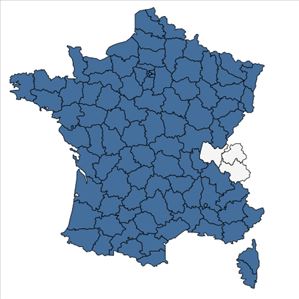 Répartition de Chenopodium album L. en France