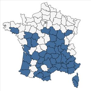 Répartition de Lolium rigidum Gaudin en France
