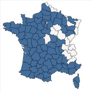 Répartition de Conopodium majus (Gouan) Loret en France